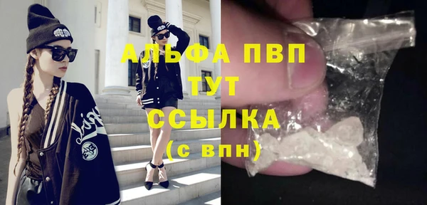 прущие грибы Фёдоровский