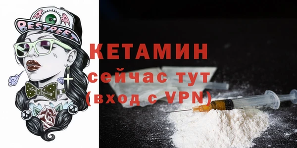 сатива Сковородино