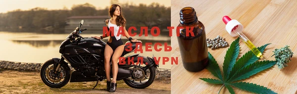 прущие грибы Фёдоровский